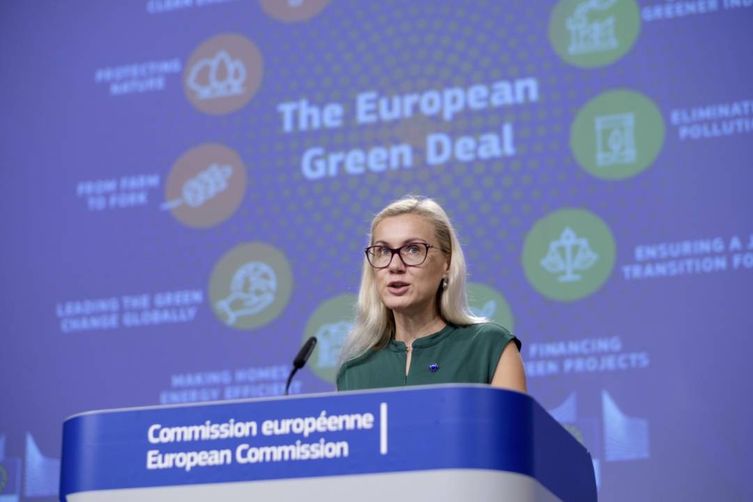 EU Green Deal

