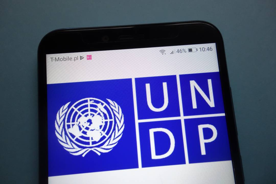 BM Kalkınma Programı (UNDP) big image